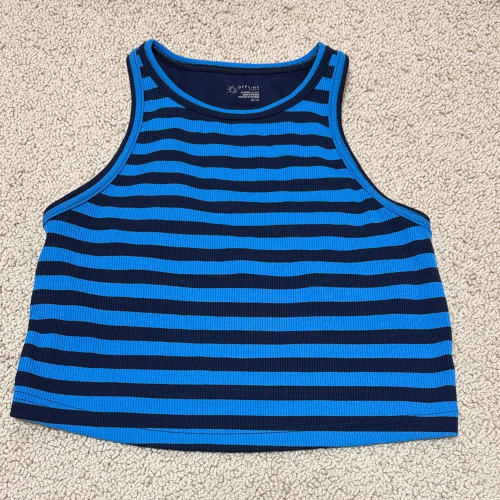 aerie Blue & Navy Striped Crop Tank | M